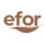 EFOR logo