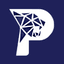 PARDUS PORTFÖY YÖNETİMİ